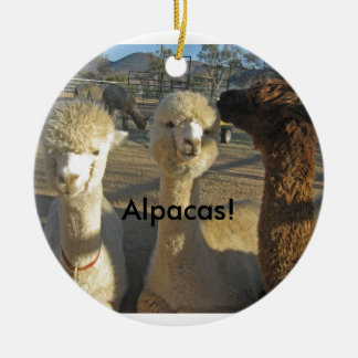 Alpacas! Ornamento
