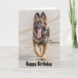 Alsatian do cão de german shepherd do cartão de