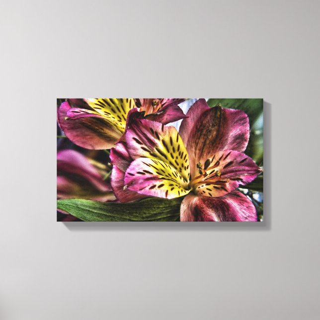 Alstroemeria Lily Flor Canvas Peruana (Frente)