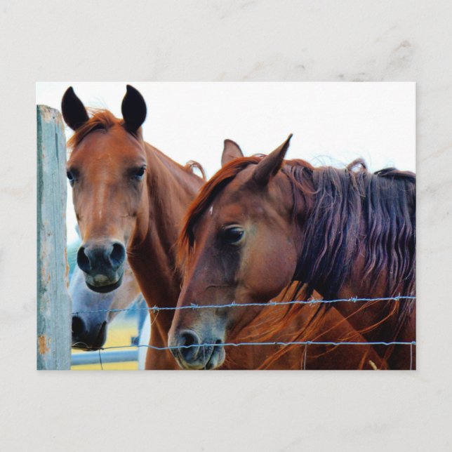 Alteração do Cartão de Endereço (Frente)