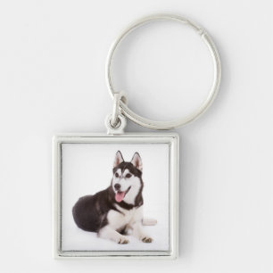 Ama o Chaveiro de Portraços de Cachorro Irlandês