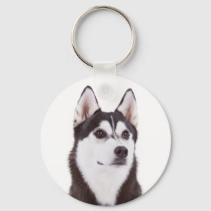 Ama o Chaveiro de Portraços de Cachorro Irlandês