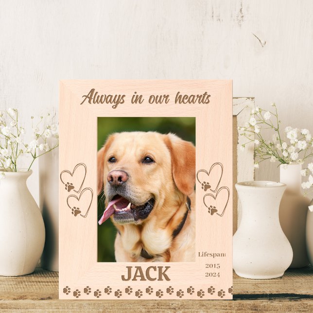 Amado Memorial Pet (Criador carregado)