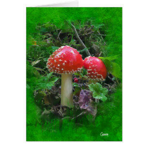 Amanita Muscaria em Green - Cartão de Arte de 5" 