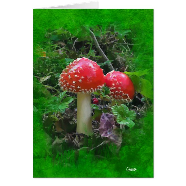Amanita Muscaria em Verde - Cartão de Arte de 5" x (Frente)