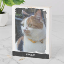 Amante de animais adicione nome gato preto foto rú