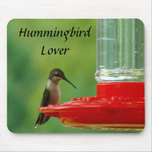 Amante Mousepad do colibri