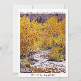 Amarelo Laranja Violeta Colorida Todo Ano Aniversá