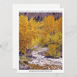 Amarelo Laranja Violeta Colorida Todo Ano Aniversá