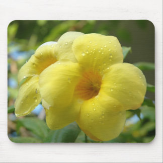~ amarelo Mousepad da flor