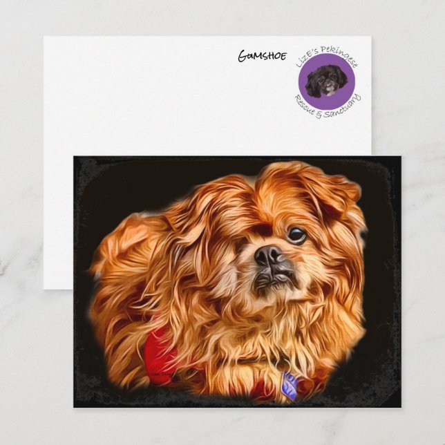 Amarra! Arte extraordinária para cartões do dia a  (Frente/Verso)