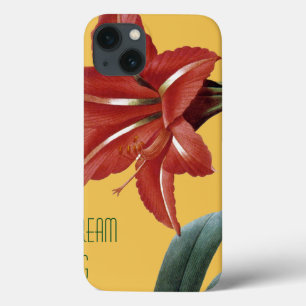 Amaryllis listrado