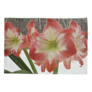 Amaryllis no Feriado Vermelho de Neve Floral de in