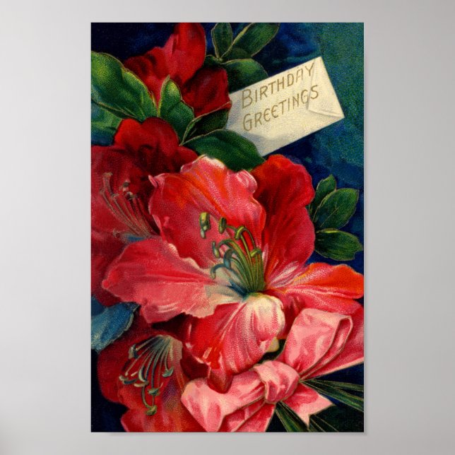 Amaryllis Poster (Frente)