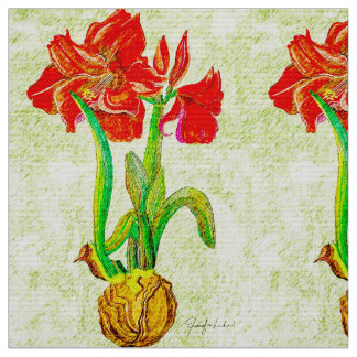 Amaryllis Tecido 3