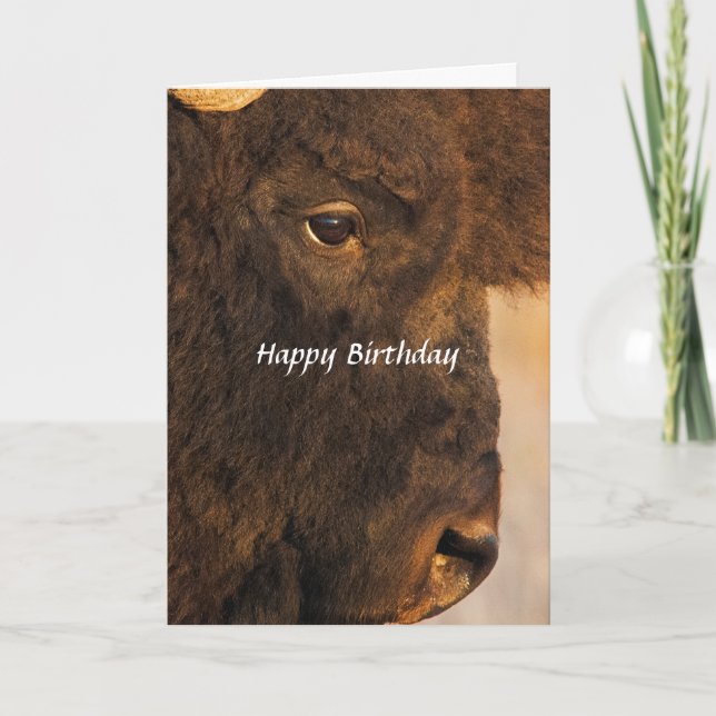 Ambas As Extremidades Do Cartão Humoroso Buffalo 2 (Frente)