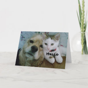 AMBOS DESEJAMOS UM CARTÃO DE ANIVERSÁRIO MUITO FEL