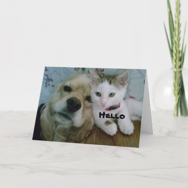 AMBOS DESEJAMOS UM CARTÃO DE ANIVERSÁRIO MUITO FEL (Frente)