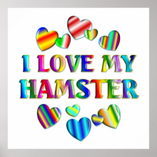 Ame meu poster do hamster
