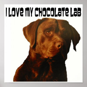 ame meu poster do laboratório do chocolate