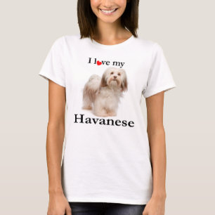 Ame Minha Camiseta Havanesa