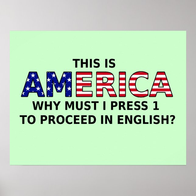 America Press 1 Poster (Frente)