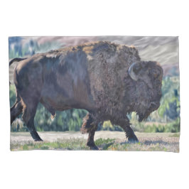 American Bison Roaming no Grassland Setting