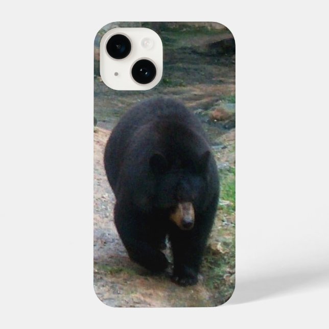 American Black Bear iPhone Case (Verso)
