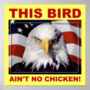 American Eagle Ain't No Chicken Poster Sinal
