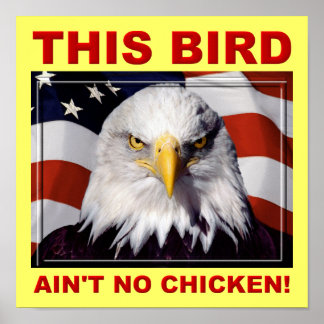 American Eagle Ain't No Chicken Poster Sinal