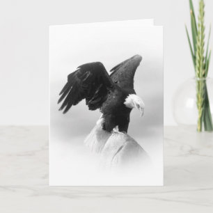 American Eagle - Cartão de Saudação