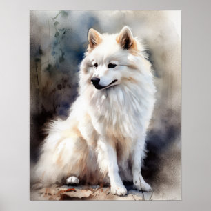 American Eskimo Dog Art Impressão Poster