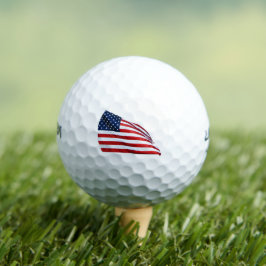 American Flag 2412