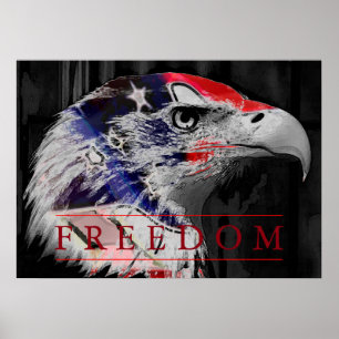 American Flag Freedom American Eagle Poster