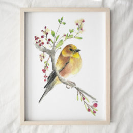 American Goldfinch Bird Watercolor Art Impressão