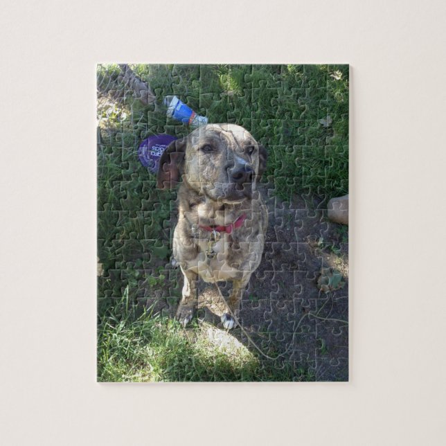 American Pit Bull Terrier Quebra-cabeça (Vertical)