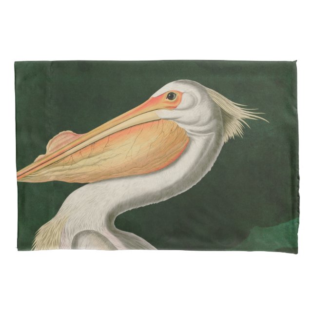 American White Pelican Birds of America Audubon (Frente)