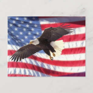 Americano Eagle & convite da bandeira americana