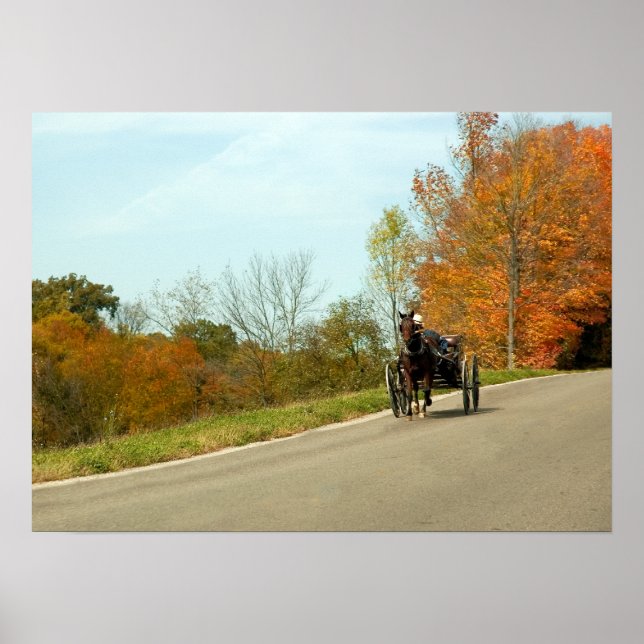 Amich Buggy Impressão (Frente)