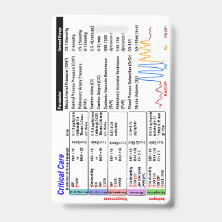 Amigo de Crachá de Terapia Intensiva