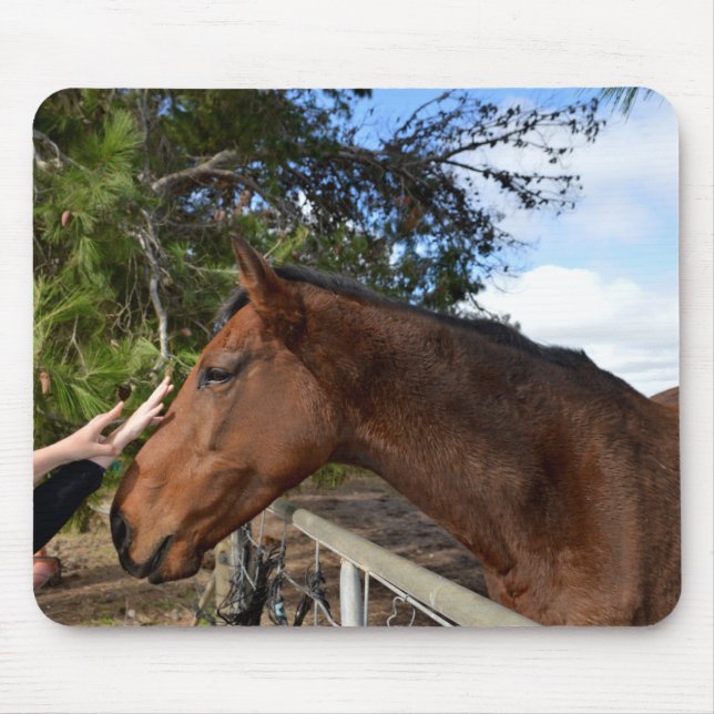 Amigo do Cavalo para sempre, Mousepad (Frente)