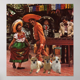 Amigo do poster 3 das chihuahuas