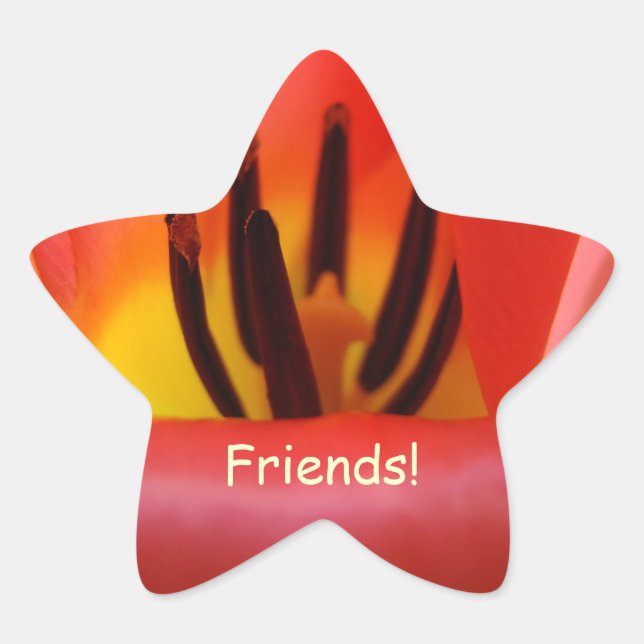 Amigos! Adesivos em forma de estrela Selos de Cart (Frente)