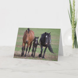 Amigos - Cartão de saudação galopante para a liber