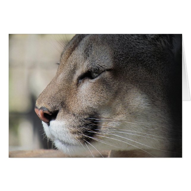 Amigos como Excelente - Cartão de Açúcar (Frente Horizontal)