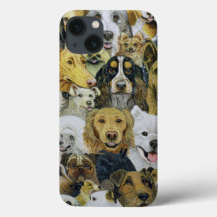 Amigos do cão