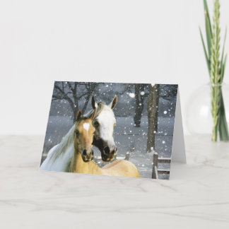 Amigos do cavalo no cartão da neve