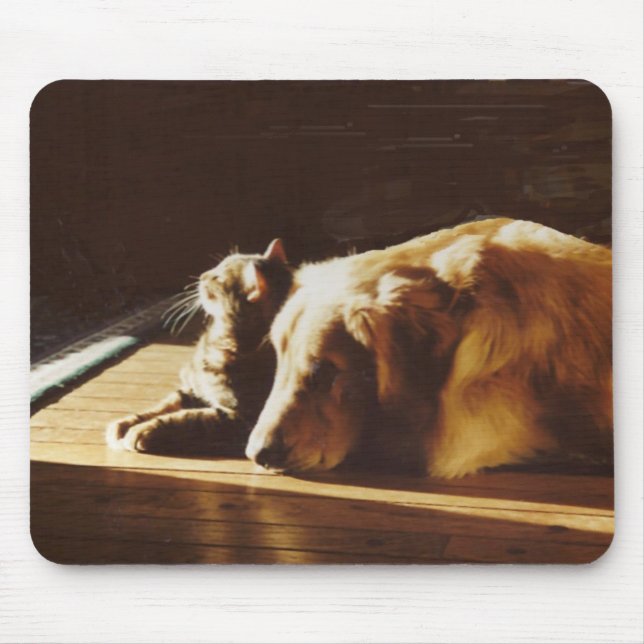 Amigos do gato de Mousepad do golden retriever os (Frente)
