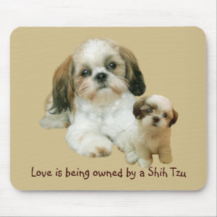 Amigos Mousepad de Shih Tzu