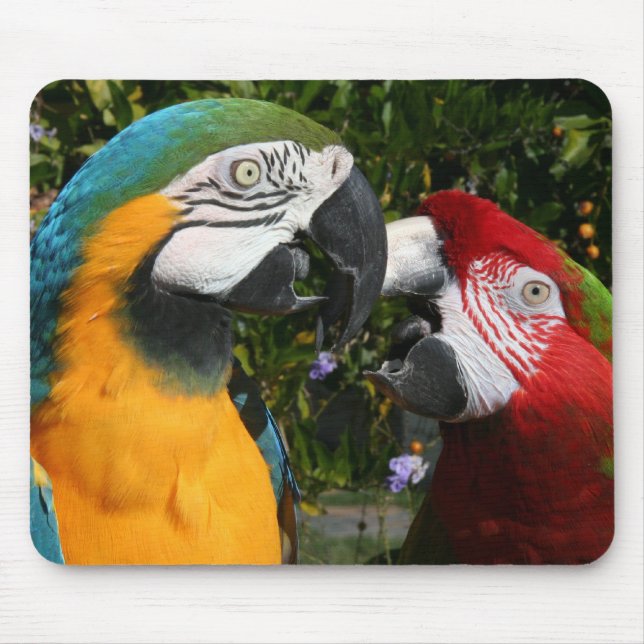 Amigos Mousepad do Macaw (Frente)